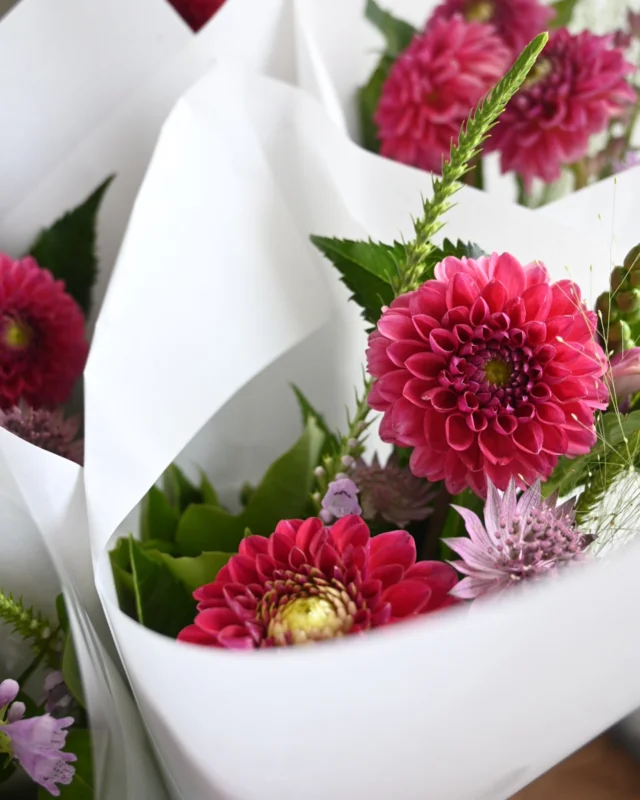 【季節の花の定期便】

明日21(月)は
季節の花の定期配達日です。

主にさいたま市内の
ご自宅や店舗、オフィスへ

月に1.2回の頻度で様々な季節の花や枝物を
直接お届けしています。

お申込みはオンラインショップからして頂けます。

お届け頻度やボリューム等
お問合せはお電話からも承ります。

これからお花を飾る良い季節です。
日常に新鮮なお花をぜひどうぞ！

￣￣￣￣￣￣￣￣￣￣￣￣￣￣

◎お休み
￣￣￣￣￣￣
10/13(日)14(祝月)15(火)

◎イベント
￣￣￣￣￣￣
▶︎10/7(月)、21(月)
季節の花の定期便

🅿︎▶10/25(金)26(土)
10:00-11:30
フラワーレッスン

◎ご注文受付・受渡し時間
￣￣￣￣￣￣￣￣￣￣￣￣￣￣
10:00-17:00 木曜定休

⚫︎ご注文品のお受渡し、🅿︎マークのイベントはパドゥドゥさんにてさせて頂きます。
住所：埼玉県さいたま市見沼区東大宮4-14-3

⚫︎ご注文・お問合せ方法
電話ｌ公式LINEｌオンラインショップ
@flowers.rustic

#お花の定期便
#花畑
#花栽培
#有機栽培
#無農薬栽培
#オーガニックフラワー
#organicflowers
#花のある暮らし
#植物のある暮らし
#見沼田んぼ