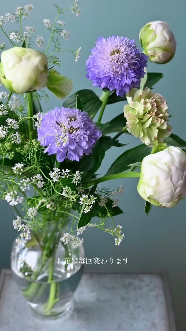 【季節の花の定期便・不定期便】

毎月第1第3月曜日の午前中は
季節の花の定期便として
さいたま市内(+近隣の街)に無料で配達しています。

次回は6/2(月)です。

また不定期便として
良いものが入荷した時や余剰が出た際に
ストーリーズや公式LINEにてお知らせしています。

定期便・不定期便は
オンラインショップからお申込み頂けます。

お問い合わせは
お電話や公式LINEからお気軽にご連絡ください。

￣￣￣￣￣￣￣￣￣￣￣￣￣￣
◎イベント
￣￣￣￣￣￣
▶︎6/2(月)、16(月)
季節の花の定期便
＊不定期便は随時お知らせ

◎ご注文受付・受渡し時間
￣￣￣￣￣￣￣￣￣￣￣￣￣￣
10:00-17:00 木曜定休

⚫︎ご注文品のお受渡しはパドゥドゥさんにてさせて頂きます。
住所：埼玉県さいたま市見沼区東大宮4-14-3

⚫︎ご注文・お問合せ方法
電話ｌ公式LINEｌオンラインショップ
@flowers.rustic

#季節の花の定期便
#花畑
#花栽培
#有機栽培
#無農薬栽培
#オーガニックフラワー
#organicflowers
#花のある暮らし
#植物のある暮らし
#見沼田んぼ
