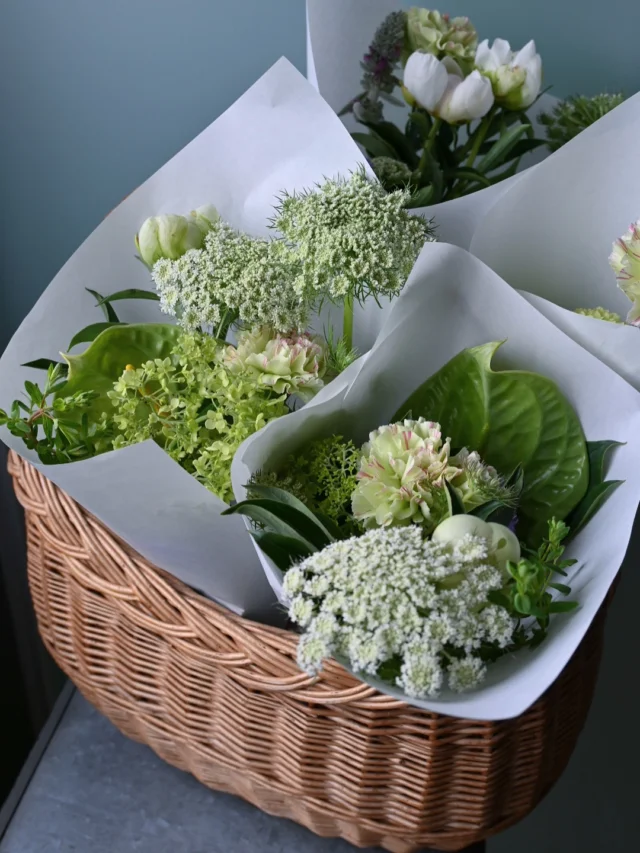 【季節の花の定期便・不定期便】

毎日花を欠かさず生ける方にとっては
お手入れが気になる季節ですね。

水の温度が高いと茎が痛みやすくなります。
また花瓶にたくさん生け込まないのも長持ちのポイントです。

個人的にはガラスの花瓶より
陽を通さない陶器の花瓶の方が水温が低く保てる気がしています。
(測ったわけではないので正確ではありませんが)

陶器をお持ちの方は試してみて下さい♪

季節の花の定期便は夏ならではの花を
毎月第1第3月曜日の午前中に
さいたま市内(+近隣の街)へ無料で配達しています。

次回は明日7/7(月)です。

また不定期便として
良いものが入荷した時や余剰が出た際に
ストーリーズや公式LINEにてお知らせしています。

定期便・不定期便は
オンラインショップからお申込み頂けます。

お問い合わせは
お電話や公式LINEからお気軽にご連絡ください。

￣￣￣￣￣￣￣￣￣￣￣￣￣￣

◎スケジュール
￣￣￣￣￣￣￣￣￣
▶︎7/7(月)、21(祝月)
季節の花の定期便
＊不定期便は随時ストーリーズにてお知らせします。

◎ご注文受付・受渡し時間
￣￣￣￣￣￣￣￣￣￣￣￣￣￣
10:00-17:00 木曜定休　

⚫︎お花の引渡しはさいたま市見沼区内
詳細はお問合せ下さい。
東大宮駅東口徒歩20分/🅿︎無し

⚫︎ご注文・お問合せ方法
電話ｌ公式LINEｌオンラインショップ
@flowers.rustic

#季節の花の定期便
#無店舗花屋
#さいたま市見沼区
#花栽培
#有機栽培
#無農薬栽培
#オーガニックフラワー
#organicflowers
#花のある暮らし
#植物のある暮らし
#花畑
#見沼田んぼ