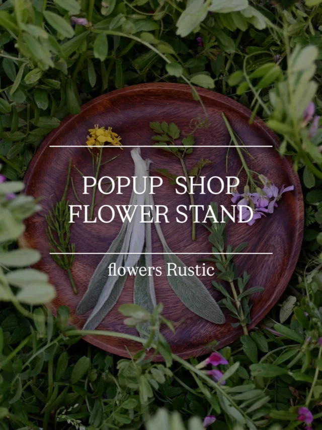 【POPUP SHOP FLOWER STAND】

ラスティックのお客様には
大変長らくお待たせしてしまいまして
とっても久しぶりのPOPUP になりますが、

来月8月より、東大宮にあります、
有限会社ぐっとリフォーム様の店舗お向かいに位置する
ショールームをお借りしまして
POPUP SHOP生花の販売会を再開できる運びとなりました！

実は、ぐっとリフォーム様は当店の開店当時から
季節の花の定期便を利用して下さるお客様でして、
かれこれ8年のお取引きのある企業様なのですが、

昨年ショールームをオープンされまして、
その当時から『ぜひ、レッスンなどで使って下さい』と仰って下さっていた事をきっかけに、
POPUPをさせて頂くことになりました。

夏の真っ只中での開催は多少迷いましたが、
夏だからこそできる事を企画していますので
ぜひ楽しみにお待ち頂けたらと思います！

ちょうどお盆のタイミングでもありますので
お花が必要な方もぜひこの機会にご来店にてご注文承ります🪷

商品ラインナップ等、
決まり次第随時お知らせしていきます📢

＿＿＿＿＿＿＿＿＿＿＿＿＿＿＿＿＿＿＿＿＿

♠︎日時：2025.8.8(金).9(土)10:00-17:00

♠︎場所：(有)ぐっとリフォーム様 ショールーム内
埼玉県さいたま市見沼区東大宮1-30-14 
ショールーム前🅿︎2台有り
＊第二産業道路を挟んだ白いショールーム内での開催です。

♠︎ラインナップ：
＊季節の切花・枝物
＊ラスティック花畑産オーガニックフラワー&ハーブ
＊&more...！

【期間限定クーポン配布中】

公式LINEのお友達限定でクーポンをプレゼント！
公式LINEへ『チケット』とメッセージを送信頂くとお受取り頂けます。
公式LINEのリンクはプロフィール画面にございます。
配布期間は8/7(木)まで！

＿＿＿＿＿＿＿＿＿＿＿＿＿＿

＼special thanks／
@goodreform.saitama 

￣￣￣￣￣￣￣￣￣￣￣￣￣￣

◎スケジュール
￣￣￣￣￣￣￣￣￣
▶︎7/7(月)、21(祝月)
季節の花の定期便
＊不定期便は随時ストーリーズにてお知らせします。

▶︎8/4(月)、18(月)
季節の花の定期便

▶︎8/8(金)9(土)10:00-17:00
POPUPSHOP FLOWERSTAND
生花販売会

◎ご注文受付・受渡し時間
￣￣￣￣￣￣￣￣￣￣￣￣￣￣
10:00-17:00 木曜定休　

⚫︎お花の引渡しはさいたま市見沼区内
詳細はお問合せ下さい。
東大宮駅東口徒歩20分/🅿︎無し

⚫︎ご注文・お問合せ方法
電話ｌ公式LINEｌオンラインショップ
@flowers.rustic

#popupshop 
#flowerstand 
#季節の花の定期便
#無店舗花屋
#さいたま市見沼区
#花栽培
#有機栽培
#無農薬栽培
#オーガニックフラワー
#organicflowers
#花のある暮らし
#植物のある暮らし
#花畑
#見沼田んぼ