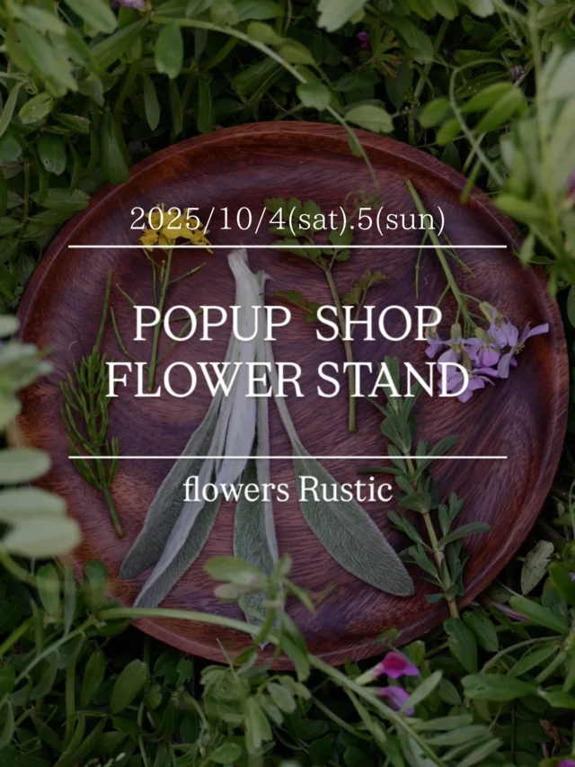 【POPUP SHOP FLOWER STAND】

10/6(月)のお月見に合わせて
来週末10/4(土)5(日)は
生花販売会を開催いたします！

一年で一番
月が美しいとされている十五夜🌕

昨年は花畑からも
ひときわ輝いた満月が見られました。

こういった季節の行事は
意識をしていないと
あっという間に過ぎ去ってしまいますが、

自然に多く触れる機会があったり
畑を持ったりすると

空の感じや空気の匂い、動植物や虫の移り変わりが
季節によってスッと変わる時があり
その時に気がついたりもします。

私たちの行動はこうやって自然に動かされているんだな、と
そんな風に感じます。

今後も季節行事に合わせて
販売会等を企画していきますので、
タイミングの合う方はぜひお越しください！

10月もコスモスや初栽培をしたローゼルの枝など
旬の花を摘みたてでお待ちします✂︎

開催場所は
有限会社ぐっとリフォーム様の店舗お向かいに位置する
白いテラスのあるショールーム内です。

@goodreform.saitama

浦和の薬膳教室
ももくりさんの薬膳茶も毎回新顔のフレーバーをご用意しています。
試飲もお楽しみに！

@momokuri.yakuzen 

＿＿＿＿＿＿＿＿＿＿＿＿＿＿＿＿＿＿＿＿＿

♠︎日時：2025.10.4(土).5(日)10:00-17:00
ご予約等不要で自由にお買い物して頂けます。

♠︎場所：(有)ぐっとリフォーム様 ショールーム内
埼玉県さいたま市見沼区東大宮1-30-14 
ショールーム前🅿︎2台有り
＊第二産業道路を挟んだ白いショールーム内での開催です。

♠︎商品ラインナップ：
＊季節の切花・枝物
＊ラスティック花畑産オーガニックフラワー&ハーブ
＊薬膳教室ももくりさんの薬膳茶5包入 3種類
試飲もしていただけます。

♠︎お支払い：現金・PayPay

＿＿＿＿＿＿＿＿＿＿＿＿＿＿＿＿＿＿＿＿＿

◎スケジュール
￣￣￣￣￣￣￣￣￣￣￣￣￣￣

▶︎10/4(土)5(日)10:00-17:00
POPUPSHOP FLOWERSTAND
生花販売会

▶︎10/6(月)
お月見

▶︎10/6(月)、20(月)
季節の花の定期便
＊不定期便は随時ストーリーズにてお知らせします。

◎ご注文受付・受渡し時間
￣￣￣￣￣￣￣￣￣￣￣￣￣￣
10:00-17:00 木曜定休　

⚫︎お花の引渡しはさいたま市見沼区内
詳細はお問合せ下さい。
東大宮駅東口徒歩20分/🅿︎無し

⚫︎定期便・花束等のご注文・お問合せ方法
電話ｌ公式LINEｌオンラインショップ
@flowers.rustic

#コスモス
#ローゼル
#popupshop 
#flowerstand 
#季節の花の定期便
#無店舗花屋
#さいたま市見沼区
#花栽培
#有機栽培
#無農薬栽培
#オーガニックフラワー
#organicflowers
#花のある暮らし
#植物のある暮らし
#花畑
#見沼田んぼ