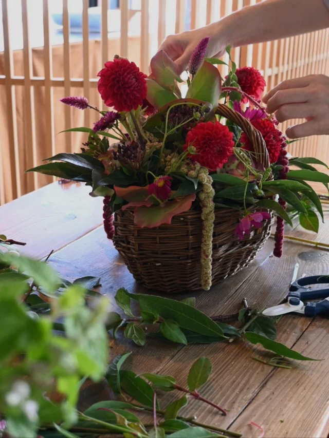 【 Flower Lesson 】

久しぶりにフラワーレッスンを開催いたします！
朝晩と冷え込むようになり、
お花の締まりもようやく良くなってきました。

レッスンでは新鮮な生花を使い、
五感を研ぎ澄ませながらご自身の感性に向き合う時間です。

束の間のひと時ですが、
植物の魅力を皆さんと共有する場となれば幸いです。

3.4名の少人数制のため、
初めての方でも丁寧にサポートが可能です。

スキルアップしたい方にも
ちょっとしたコツを聞きやすい場となっています。

こちらでは直前のお知らせとなってしまいましたが、
ご都合の付く方はぜひお越しください。

＿＿＿＿＿＿＿＿＿＿＿＿＿＿＿＿＿＿＿＿＿

▶︎テーマ：季節の花のアレンジメント
花材は当日のお楽しみです。
写真はイメージです。

▶︎日時：10/29(水)10:00-11:30 
★あと2席ございます。

▶︎料金：税込11,000円
花材代、レッスン料、作品撮影、季節のお茶代含む

▶︎持ち物：
花ばさみ、台拭き、持ち帰り袋
 
▶︎場所：有限会社ぐっとリフォーム様のショールーム内
埼玉県さいたま市見沼区東大宮１丁目３０−１４

白いテラスのある建物です。
駐車スペースはショールーム前に２台ございます。
ご利用の場合はお申し込み時にお知らせください。

▶︎その他：お申込み後のキャンセルはご遠慮下さい。
万が一ご参加が難しくなってしまった場合には3日以内に花材のお引き取りをお願いいたします。

▶︎お申込み方法：
お名前、お車の有無を公式LINEまたはお電話にてご連絡下さい。

電話ｌ公式LINE
@flowers.rustic

＿＿＿＿＿＿＿＿＿＿＿＿＿＿＿＿＿＿＿＿＿

◎スケジュール
￣￣￣￣￣￣￣￣￣￣￣￣￣￣

▶︎10/4(土)5(日)10:00-17:00
POPUPSHOP FLOWERSTAND
生花販売会

▶︎10/6(月)
お月見

▶︎10/6(月)、20(月)
季節の花の定期便
＊不定期便は随時ストーリーズにてお知らせします。

▶︎10/29(水)10:00-11:30
フラワーレッスン

◎ご注文受付・受渡し時間
￣￣￣￣￣￣￣￣￣￣￣￣￣￣
10:00-17:00 木曜定休　

⚫︎お花の引渡しはさいたま市見沼区内
詳細はお問合せ下さい。
東大宮駅東口徒歩20分/🅿︎無し

⚫︎定期便・花束等のご注文・お問合せ方法
電話ｌ公式LINEｌオンラインショップ
@flowers.rustic

#無店舗花屋
#さいたま市見沼区
#花栽培
#有機栽培
#無農薬栽培
#オーガニックフラワー
#organicflowers
#花のある暮らし
#植物のある暮らし
#花畑
#見沼田んぼ