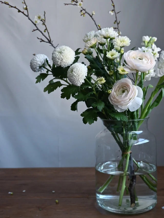 【年末のご挨拶】

2025年の営業が終了しました。
今年もご利用いただきましてありがとうございました。

POPUPを再開し
またお客様との接点ができたり
新しいお客様にもラスティックを知ってもらえて
感謝の絶えない一年でした。

また会場を快く貸してくださる
@goodreform.saitama さん
@super.gt2018 さん　
にも感謝いたします🙏

また来年もどうぞよろしくお願いいたします✨
_

さて、年始の営業は1/5(月)からですが、
少しですがお花の余剰があるため、
お年賀やお墓参りでお花が必要な方はご連絡頂けましたらご用意可能です。
お電話や公式LINEにてご連絡下さい。

それでは、お花とともに良いお年をお迎えください🌿
＿＿＿＿＿＿＿＿＿＿＿＿＿＿＿＿＿＿＿＿＿

◎スケジュール
￣￣￣￣￣￣￣￣￣￣￣￣￣￣
▶︎1/1(木)-4(日)
お休み

▶︎1/5(月)
初市

▶1/5(月)、19(月)
季節の花の定期便

▶︎1/7(水)
松飾を外す日

▶︎1/23(金)24(土)10:00-17:00
POPUPSHOP FLOWERSTAND
生花販売会

◎ご注文受付・受渡し時間
￣￣￣￣￣￣￣￣￣￣￣￣￣￣
10:00-17:00 木曜定休　

⚫︎お花の引渡しはさいたま市見沼区内
詳細はお問合せ下さい。
東大宮駅東口徒歩20分/🅿︎無し

⚫︎定期便・花束等のご注文・お問合せ方法
電話ｌ公式LINEｌオンラインショップ
@flowers.rustic

#無店舗花屋
#さいたま市見沼区
#花栽培
#花畑
#見沼田んぼ