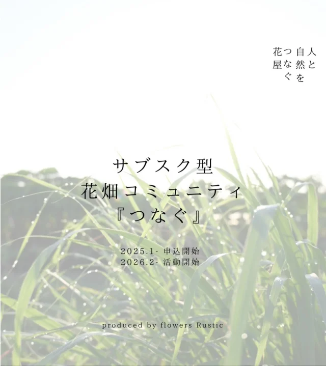 【花畑コミュニティ『つなぐ』のご案内】

ご案内がこんな年末の大晦日になってしまい
長らくお待ちいただいた皆さま申し訳ありませんでした‼︎🙇‍♀️

少し長いのでお時間のある時にご覧ください。

_

ラスティックは花づくりを始めて3年目になります。

元々は店舗時代に売れ残ってしまった苗ものを
植えておく場所を求めて借りた畑ですが、

今年になって花畑の見学や
ボランティアに来てくださる方が増えたこともあり

花や畑、自然とのつながりを求めて来てくださる方が
プライベートでも仕事でもない
同じ興味関心を持つ仲間と一つの目標を持ちながら
新しい楽しみや価値観を見だし共有できる場を作ろうと思い

サブスク型のコミュニティ『つなぐ』を
始めることにしました🌱

花畑を通じて
自然とのつながりを持つきっかけにしてして頂けたら、
という想いもあります。

概要は下記の内容となりますが、
まだ花畑を見たことのない方は
一度見学をしてもらってからがおすすめですし、
ここでやって行きたいこともお伝えできたらと思うので、
まずはお気軽にお問合せいただけると嬉しいです📩

_

活動開始は2026/2/8(日)午前中
(友引かつ一粒万倍日とのこと✨)

3月以降は月に一度
水曜日か日曜日の午前中
どちらかで花畑での作業を行ってもらう予定です。

たくさん栽培できた花は
その場で摘みとりお持ち帰り頂けます。

花畑はさいたま市見沼区中川にあります。
近くにバス停があり、駐車もスペースあります。
水道、トイレはありませんが、近くにコンビニがあります。

サブスク料金は月額3,300円です。
いつでもご参加・解約・再開も可能です。
2026年は2月〜11月までの活動を予定しています。

コミュニティでは、土づくりから始まり
栽培したものはイベントなどで販売を通じて
実際にお客様のもとへお届けするところまで体験していただくことも企画しています。

またその過程も皆さんと企画し
楽しみながらお客様に喜んでもらえることを一緒に取り組んで行けたらと考えています。

その他、産地見学や懇親会なども任意で参加いただける企画も構想中です。

♠︎花畑やお花の栽培に憧れや関心のある方
♠︎栽培から販売まで携わってみたい方
♠︎もっと自然と触れ合う時間を作りたい方
♠︎好きなことが同じ方との交流を広げたい方
♠︎新しい年に新しいことにチャレンジしてみたい方

など、
栽培だけでも販売だけでもなく
一貫して体験できて
その先にいるお客様に喜んでもらえることを
一緒に探求できる方は
ぜひ一度花畑の見学にいらしてください！

お問合せだけでも大丈夫です。
まずはお話しさせて頂ければと思います◎

お申込みは随時承りますので公式LINEからお気軽にご連絡ください🌿
ご連絡お待ちしています。
→ @flowers.rustic